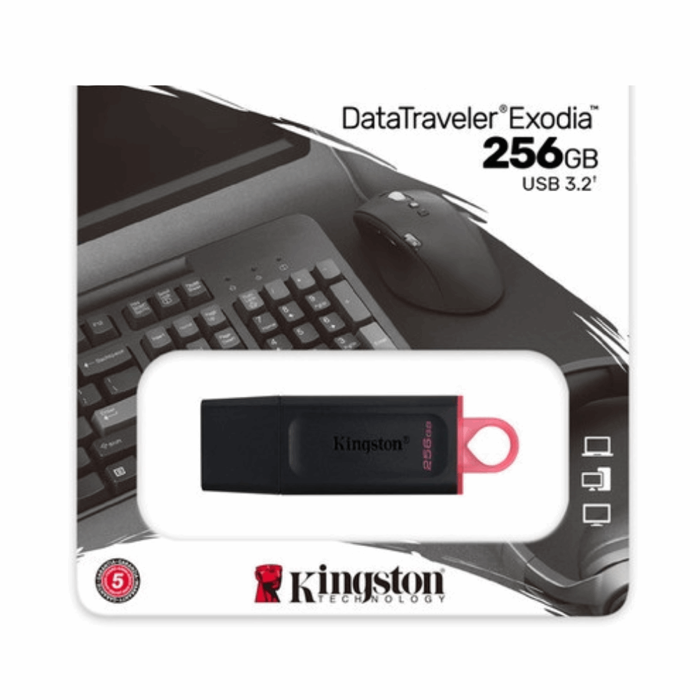 فلاشة K-dtx-256 G Kingston